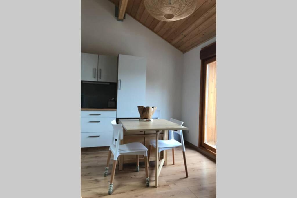 Magnifique Appartement A La Joue Du Loup Saint-Étienne-en-Dévoluy Kültér fotó